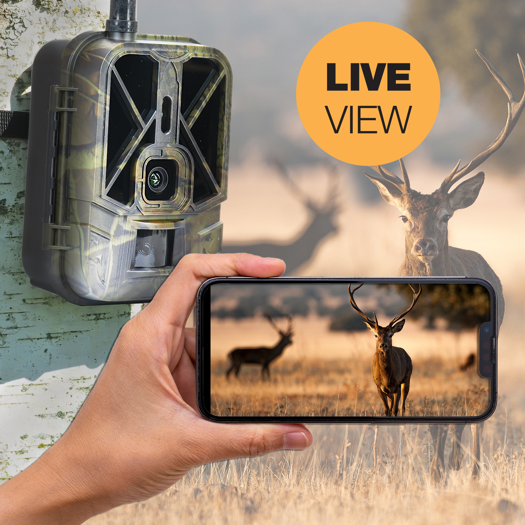 PNI 550C Wildcamera 4G Live